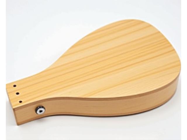 Mandoline Style A - Entrée de gamme avec son brillant et percussif